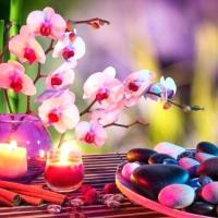 Maitri Thai Spa & Massage Andheri